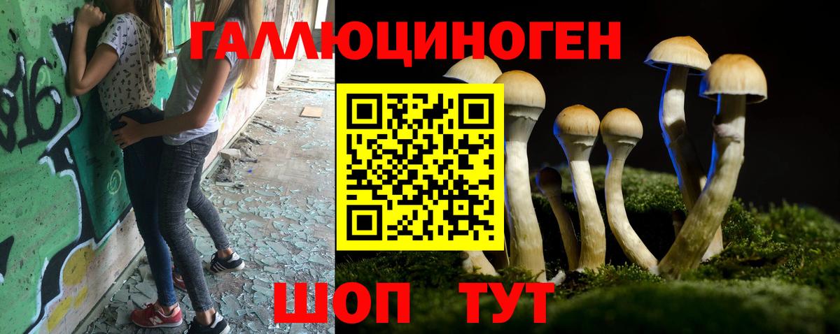 Кострома  наркошоп  Вход с VPN  Галлюциногенные грибы Cubensis 